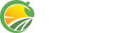 Footer 6